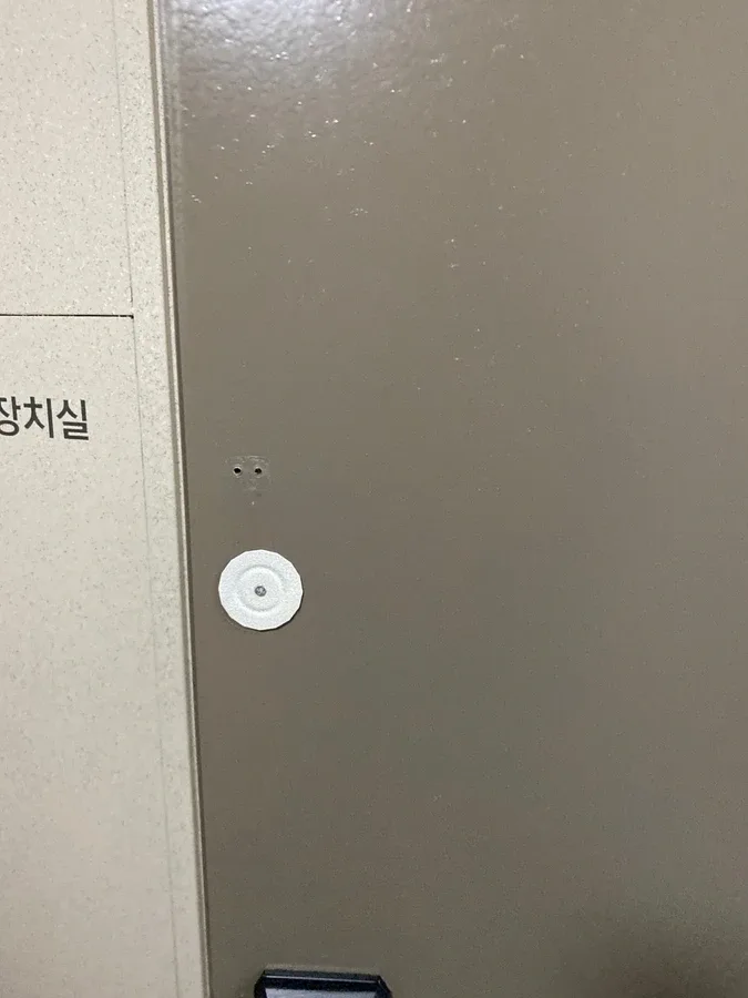 현관문 표면 상태 확대 사진
